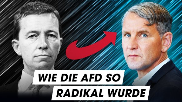 10 Jahre AfD: DAS hat sie krass verändert